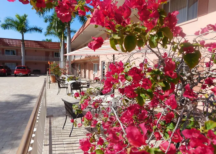 Hibiscus Suites - Sarasota